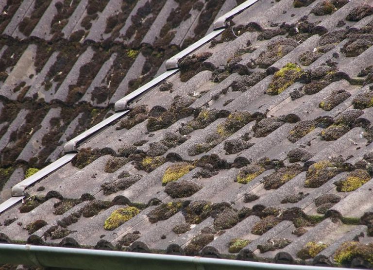 Entretien toiture : nettoyage toit exemple de chantier en rhone-alpes