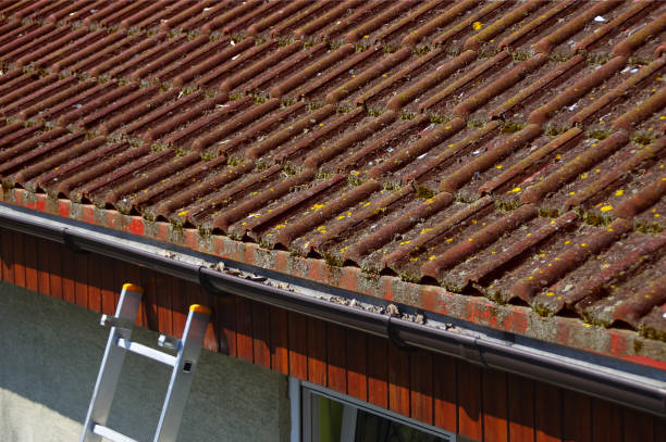 démoussage toiture à Bron