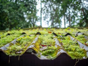 Quels types de toits nécessitent le plus souvent un démoussage toiture à Bron ?