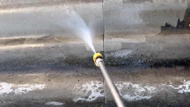 nettoyage de toiture à Saint-Priest