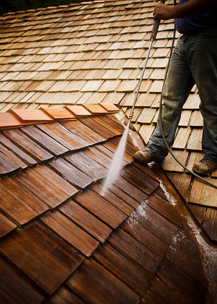 nettoyage toiture à Bron