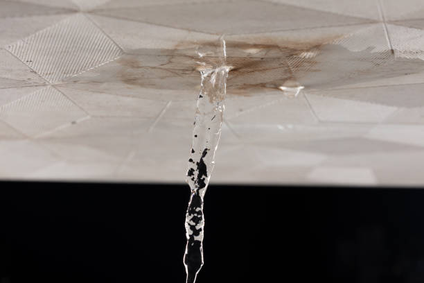 recherche de fuite à Bron