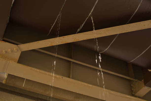 La recherche de fuite à Bron est-elle obligatoire avant réparation ?