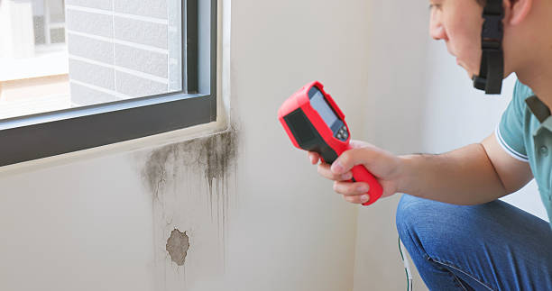 recherche de fuite à Bron