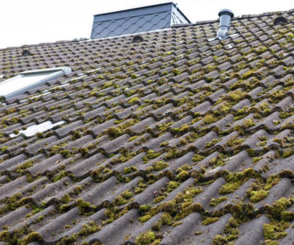 démoussage toiture à Bron