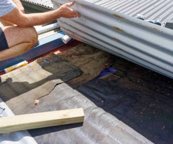 Builder looking under a corrugated iron roof for a water leak. Renovating an old wooden Kiwi villa or bungalow. Aotearoa / New Zealand.