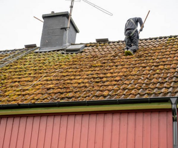 Workers cleaning roof tiles covered in moss Kumla Sweden september 29 2023