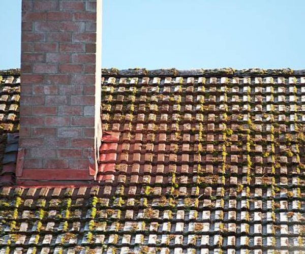 Moss on roof with chimney needing replacing