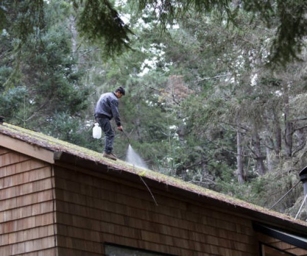 Man cleaning moss from roof with sprayer